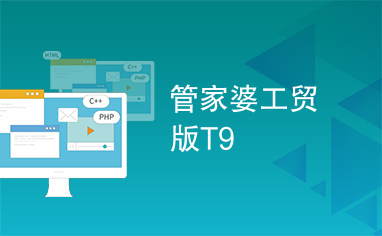 管家婆工貿 ERP T9